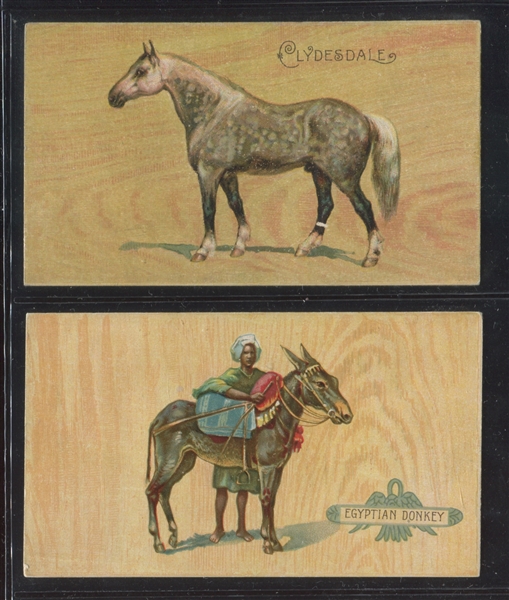 N101 Duke Honest Long Cut Breeds of Horses Lot of (8) Cards