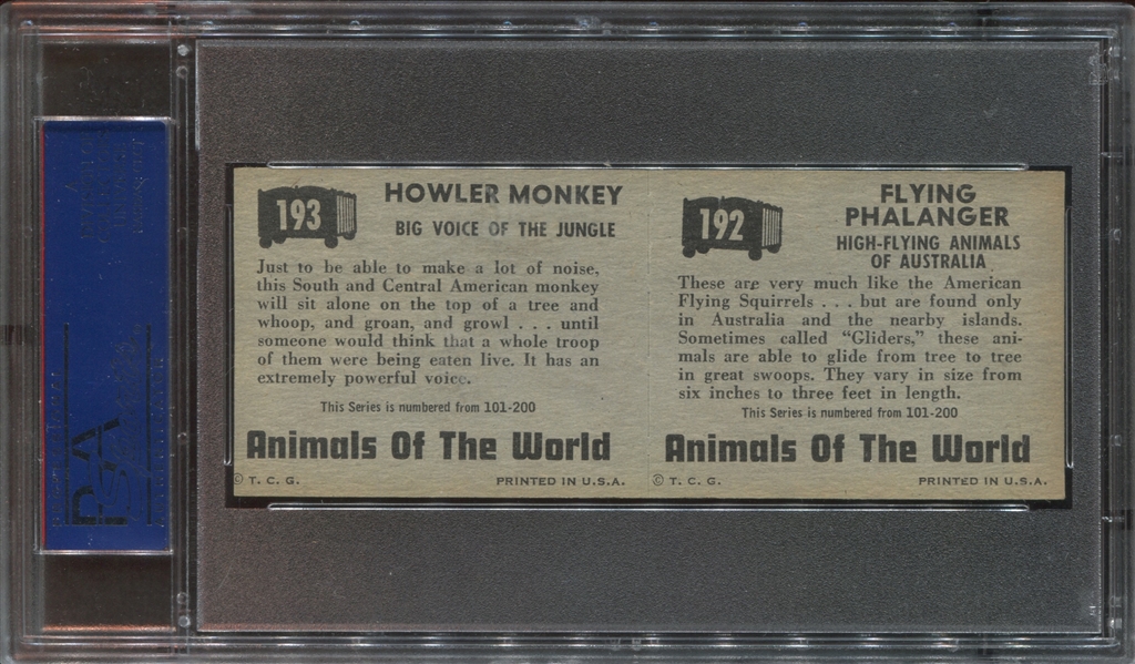 1951 Topps Animals of the World Panels Lot of (3) PSA-Graded Panels with PSA7's