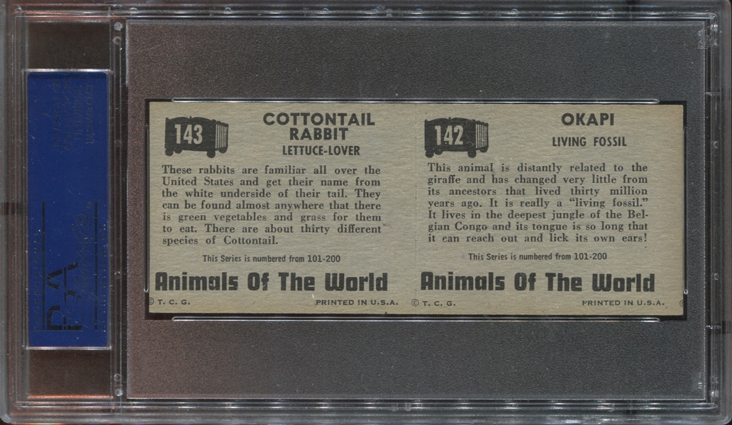 1951 Topps Animals of the World Panels Lot of (3) PSA-Graded Panels with PSA7's