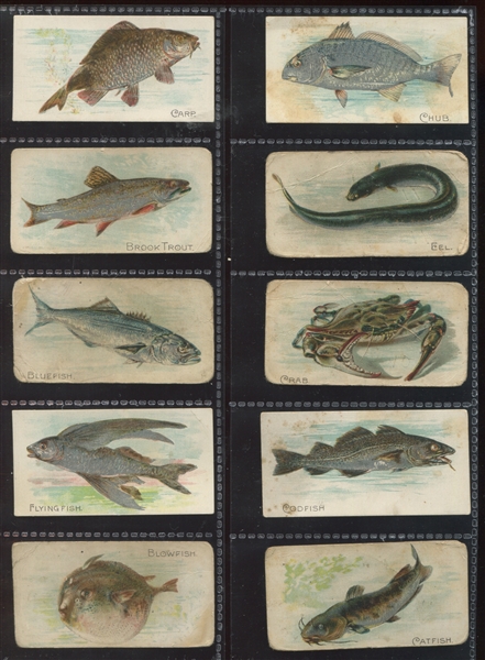 E32 Phila Caramel Fish (Zoo Cards) Lot of (17) Different