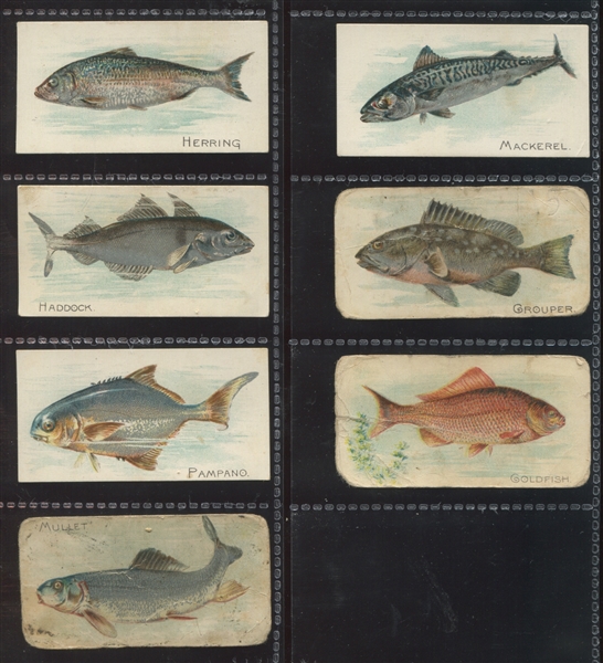E32 Phila Caramel Fish (Zoo Cards) Lot of (17) Different