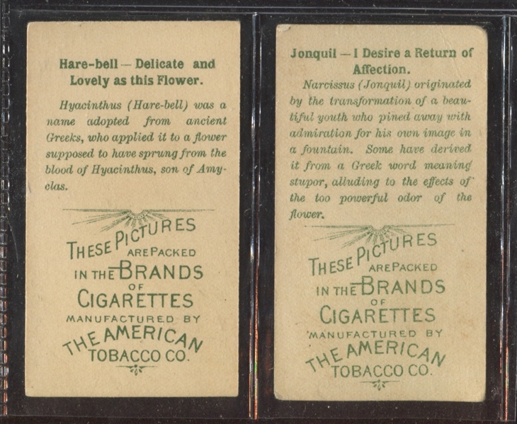T408 American Tobacco Company Flowers Lot of (2) Cards