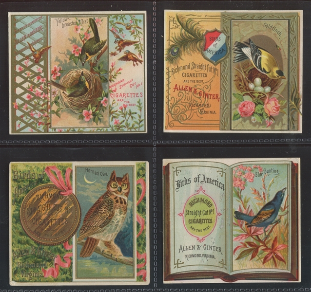N37 Allen & Ginter Birds of America Lot of (4) Cards