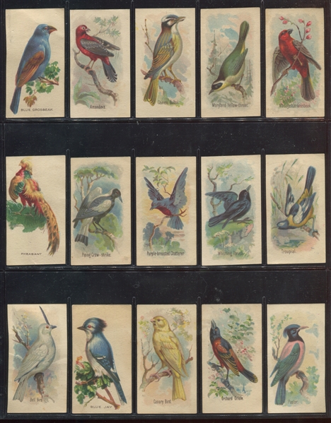 D-UNC Weber Baking Bird Pictures Partial Set (26/60) Cards