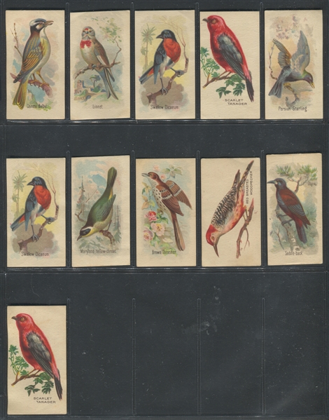 D-UNC Weber Baking Bird Pictures Partial Set (26/60) Cards