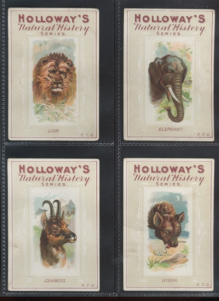 1930's Holloway's Pills Natural History Near Set (39/40) With Inset Allen Ginter Images