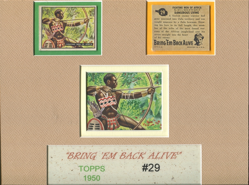 1950 Topps Bring 'Em Back Alive Original Artwork for #29 Fighting Men of Africa