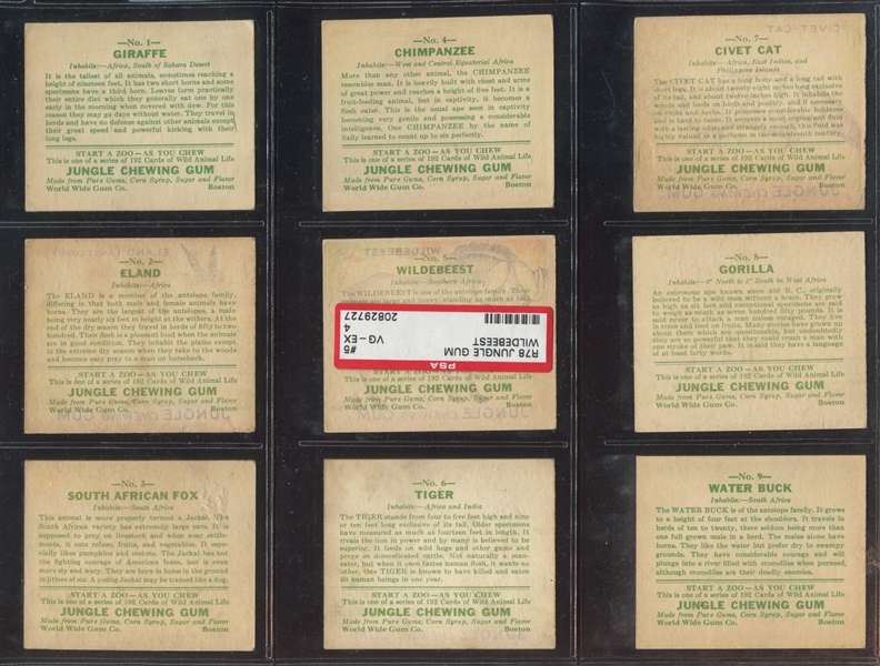 R78 Goudey Gum Jungle Gum Complete Set of (64) Cards 