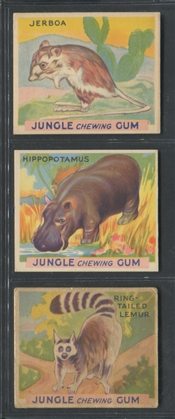 R78 Goudey Gum Jungle Gum Complete Set of (64) Cards 