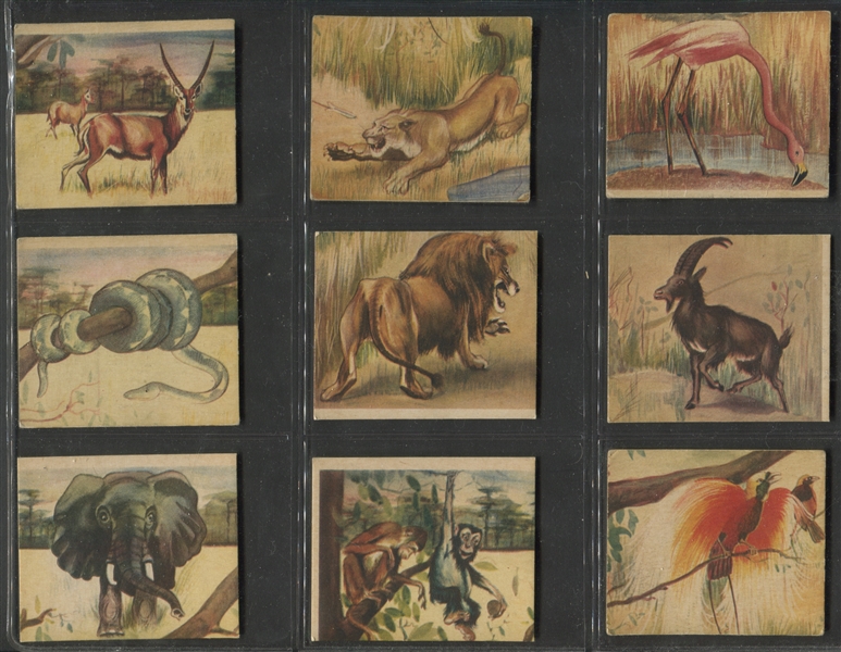 R6 National Licorice African Animal Jig Complete Set of (24) Cards