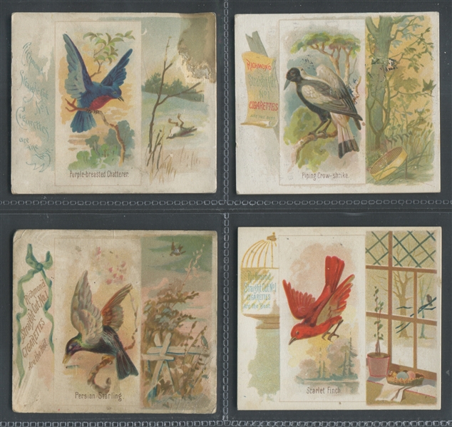 N42 Allen & Ginter Song Birds Lot of (12) Cards