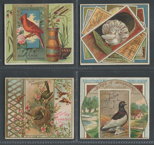 N37 Allen & Ginter Birds of America Lot of (14) Cards