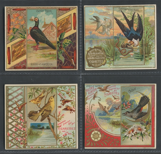 N37 Allen & Ginter Birds of America Lot of (14) Cards