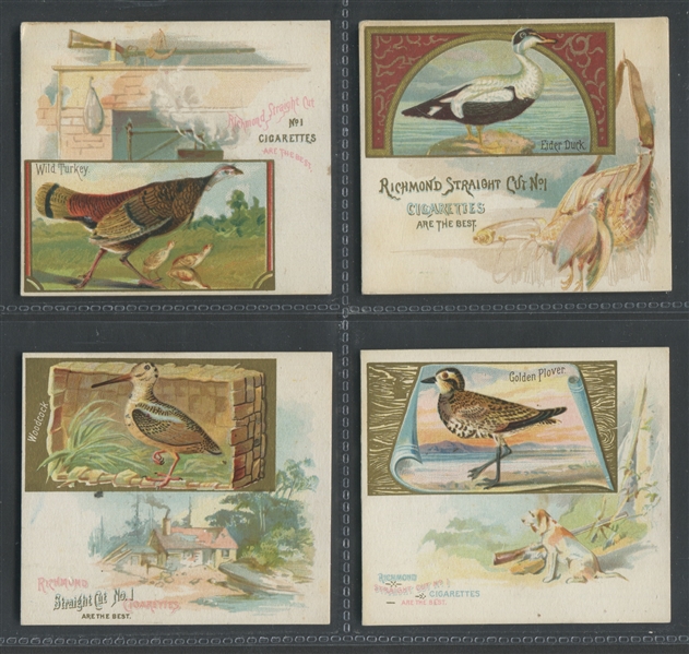 N40 Allen & Ginter Game Birds Lot of (24) Cards