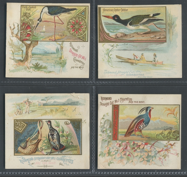 N40 Allen & Ginter Game Birds Lot of (24) Cards