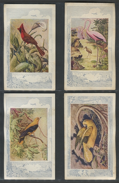 D18-1 Butter-Nut Bread Bird Pictures Lot of (24) Cards