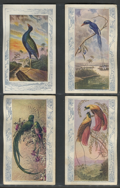 D18-1 Butter-Nut Bread Bird Pictures Lot of (24) Cards