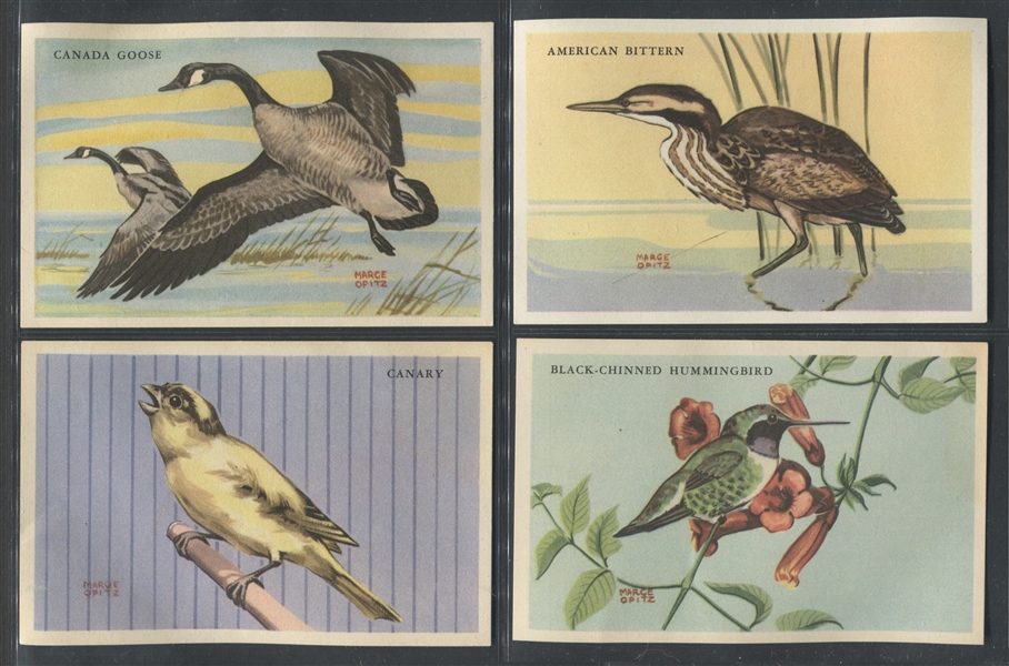 F273-2 Kellogg's Bird Pictures Complete and Near Complete Set of Cards (46/48) with Album