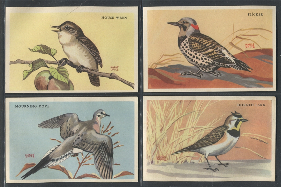 F273-2 Kellogg's Bird Pictures Complete and Near Complete Set of Cards (46/48) with Album