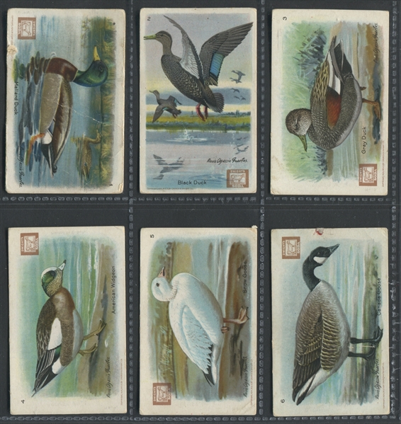 J8 Church & Dwight Arm & Hammer Useful Birds (4th Series) Complete Set of (30) Cards