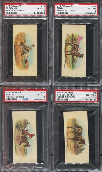 V14 Cowan's Chocolates Horse Pictures Lot of (4) PSA6-6.5 Graded Cards