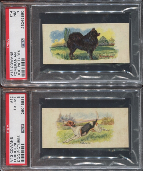 V13 Cowan's Dog Pictures Lot of (5) PSA-Graded Cards
