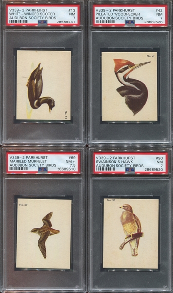 V339-2 Parkhurst Audubon Birds Lot of (4) PSA7-7.5 Graded Cards