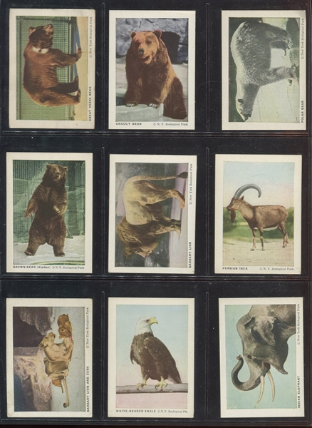 F55 Frostick Animal Cards Complete Set of (44) Cards