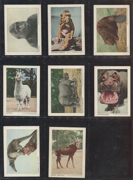 F55 Frostick Animal Cards Complete Set of (44) Cards