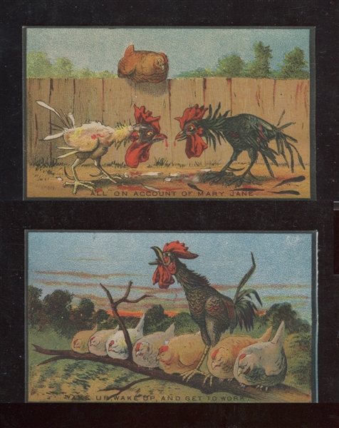 1880s? Roosters/Chickens Trade Card Complete Set of (4)