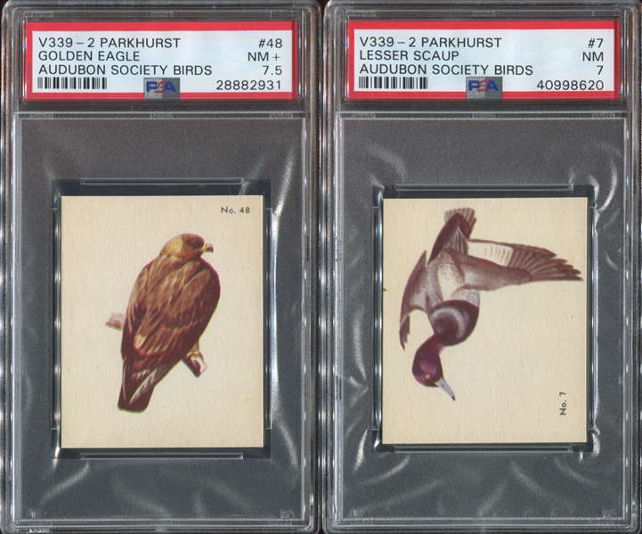 V339-2 Parkhurst Audubon Lot of (4) PSA7 or Higher Graded Cards