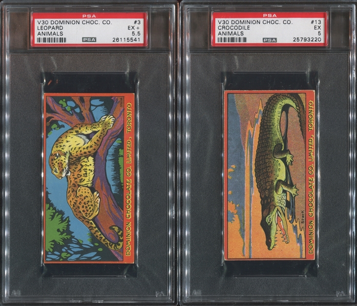 V30 Dominion Chocolate Animals Lot of (4) PSA-Graded Cards