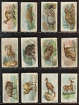 E28 Philadelphia Caramel Zoo Caramels (as A&G Quadrupeds) Complete Set of (50) Cards