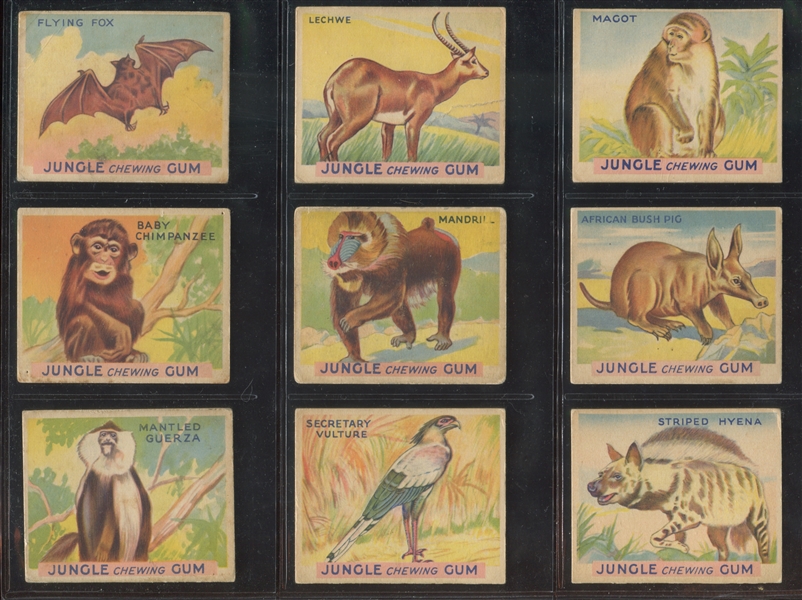 R78 Goudey Gum Jungle Gum Complete Set of (48) Cards