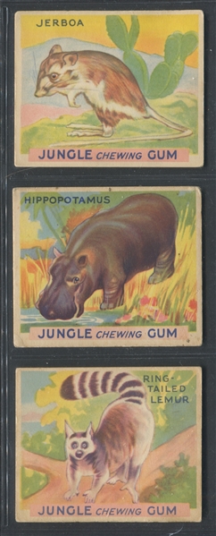R78 Goudey Gum Jungle Gum Complete Set of (48) Cards