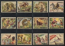 1950 Topps Bring Em Back Alive Complete Set of (100) Cards