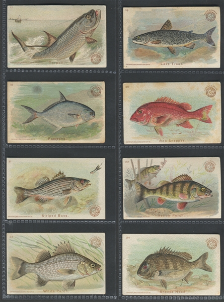 J15 Church & Dwight Fish Series Complete Set of (30) Cards