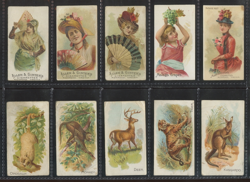 Mixed Allen & Ginter Lot of (24) Cards