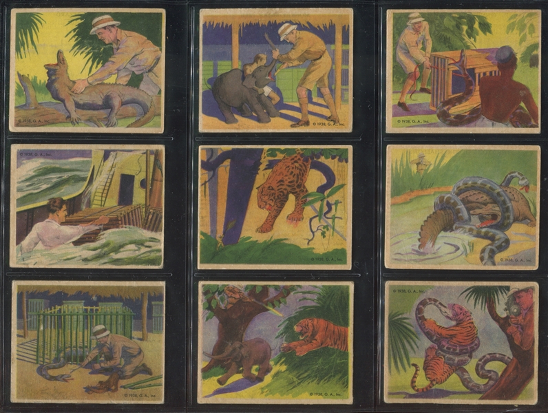 R55 Gumakers of America Frank Buck Complete Set of (48) Cards