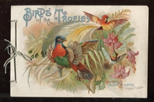 A4 Allen & Ginter Birds of the Tropics Album