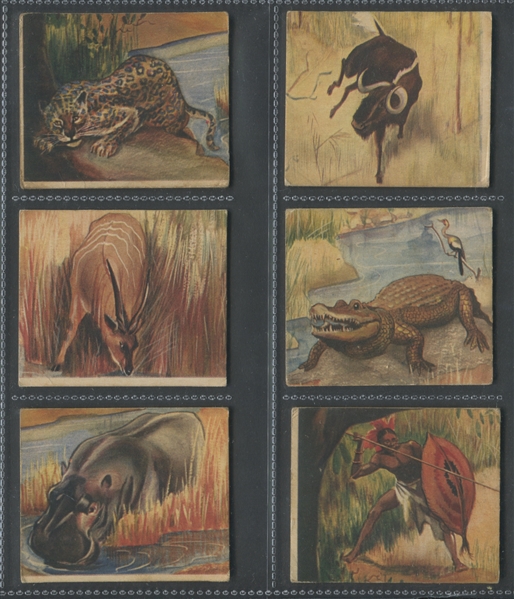 R6 National Licorice African Animal Jig Complete Set of (24) Cards