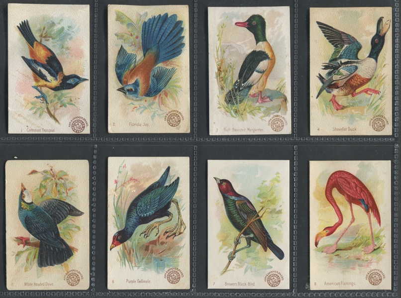 J2 Church & Dwight Arm & Hammer Beautiful Birds: New Series Complete Set of (64) Plus #34 Variation