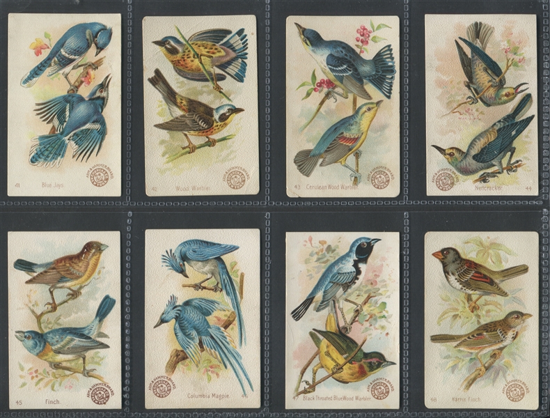 J2 Church & Dwight Arm & Hammer Beautiful Birds: New Series Complete Set of (64) Plus #34 Variation
