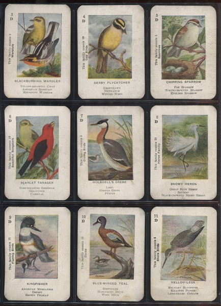 Fantastic Chas. K. Reed 1914 Game of Wild Birds Boxed Card Game Set