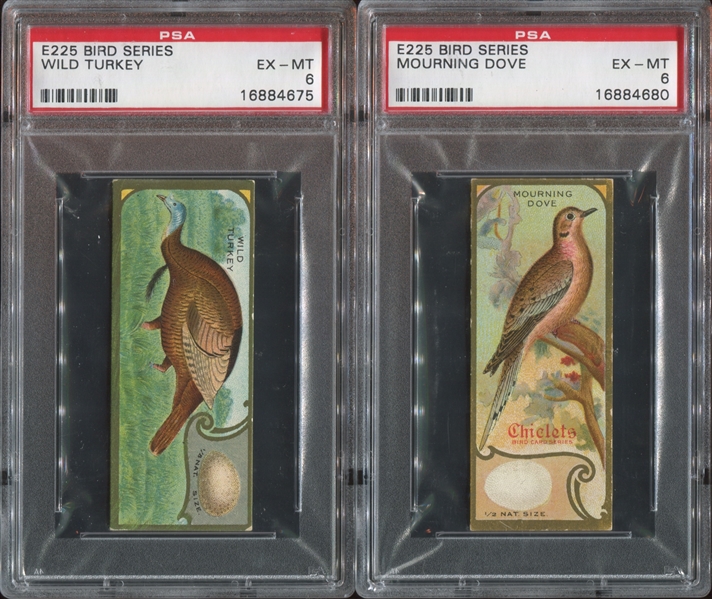 E225 Sen-Sen Chiclets Accurate Bird Studies Lot of (2) PSA6 EX-MT Cards