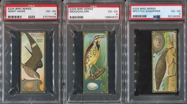 E225 Sen-Sen Chiclets Accurate Bird Studies Lot of (5) PSA4 VG-EX Cards