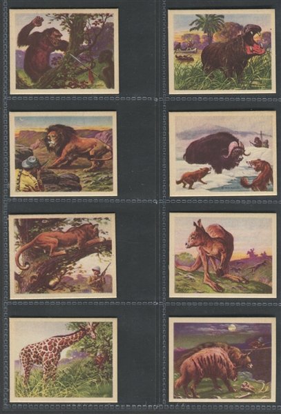 R71 Planters Hunted Animals Complete Set of (25) Cards