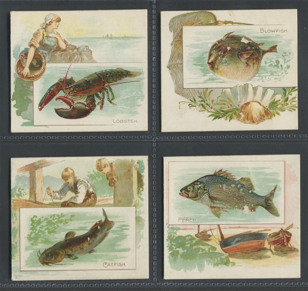 N39 Allen & Ginter Fish From American Waters Lot of (14) Cards