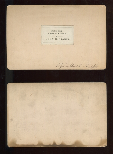 1880's Pair of D.C. Cabinet Cards