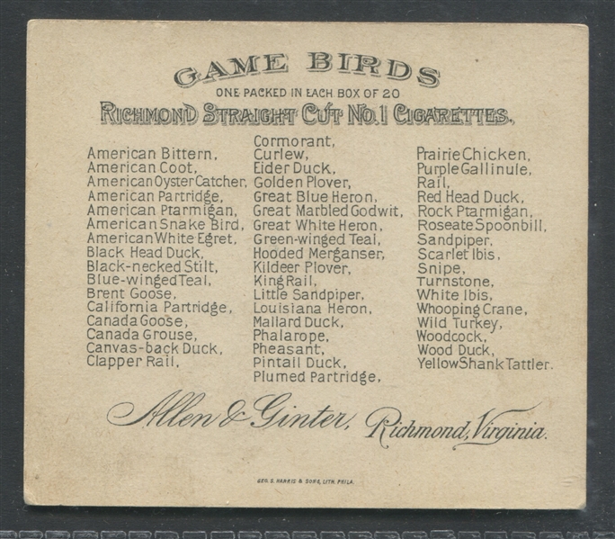 N40 Allen & Ginter Game Birds Scarlet Ibis Type Card